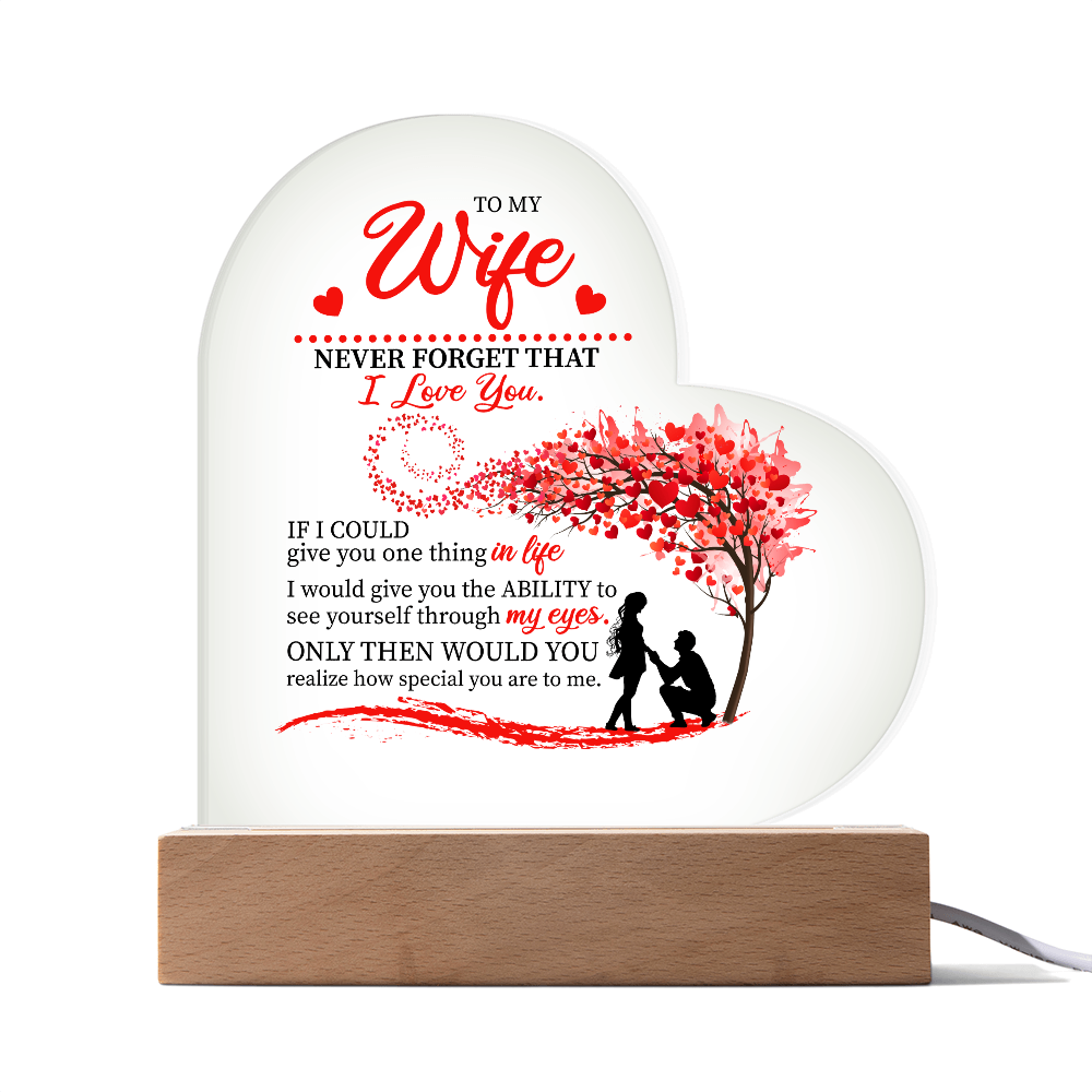 To My Wife: The Love in My Eyes, The Light of My Life