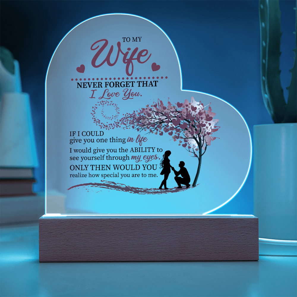 To My Wife: The Love in My Eyes, The Light of My Life