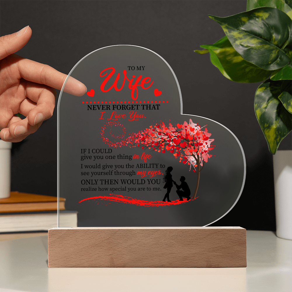 To My Wife: The Love in My Eyes, The Light of My Life