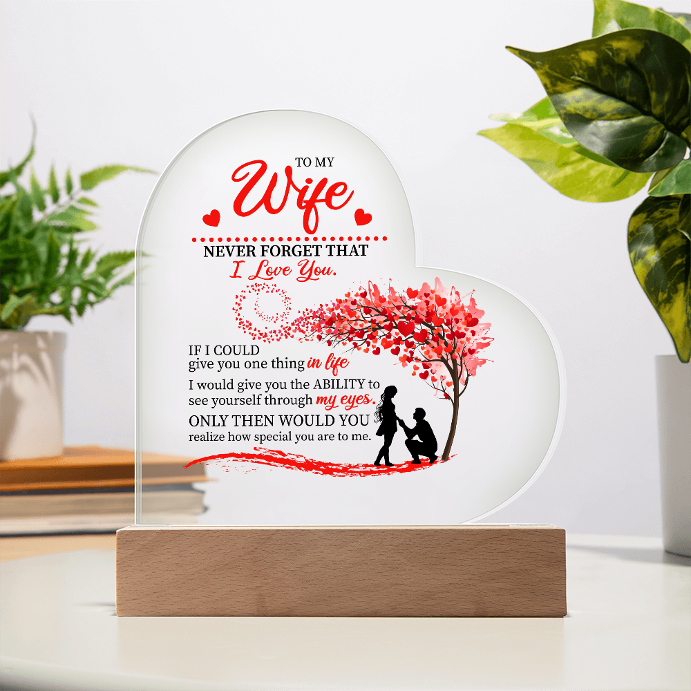 To My Wife: The Love in My Eyes, The Light of My Life