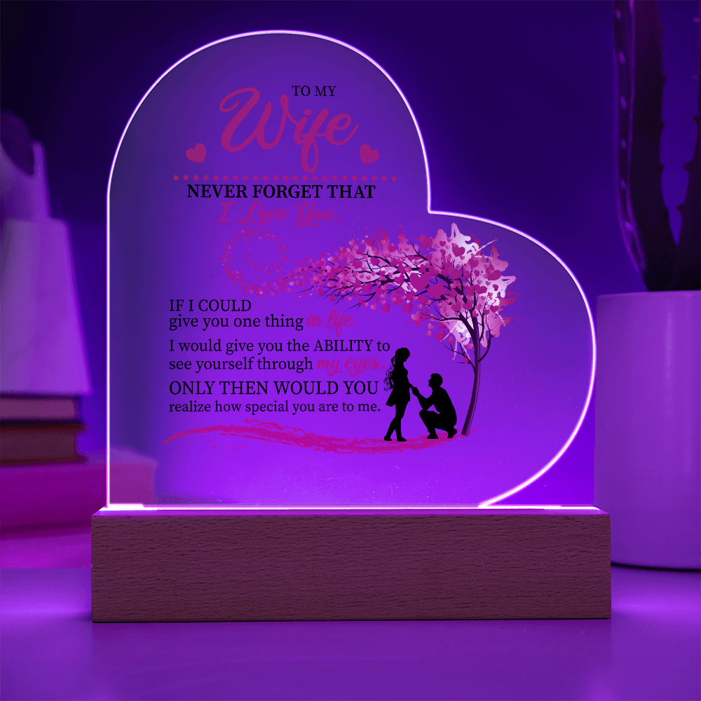 To My Wife: The Love in My Eyes, The Light of My Life