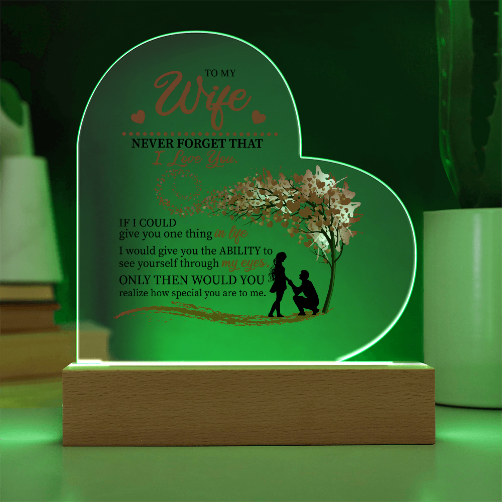 To My Wife: The Love in My Eyes, The Light of My Life