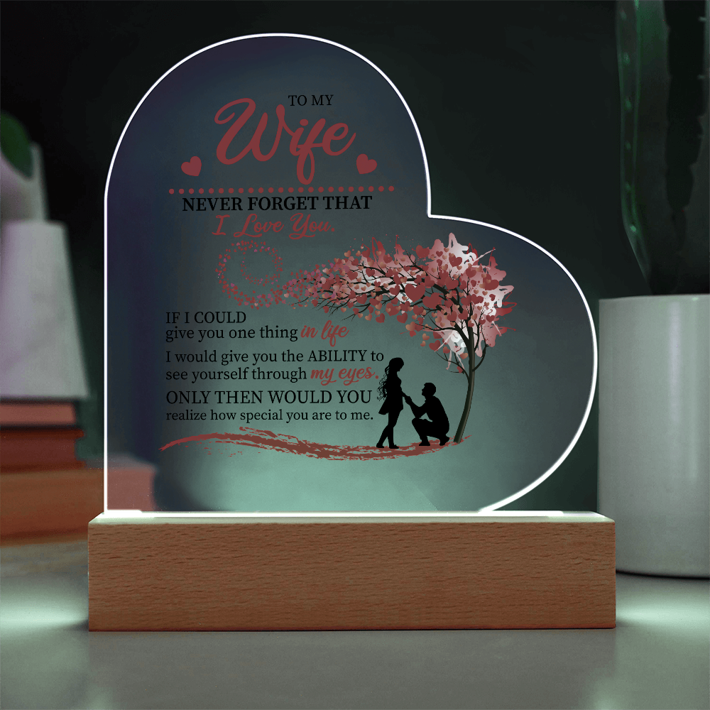 To My Wife: The Love in My Eyes, The Light of My Life