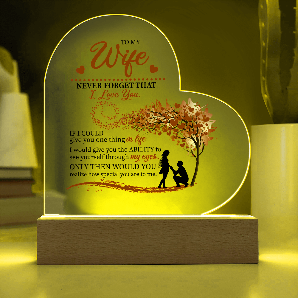 To My Wife: The Love in My Eyes, The Light of My Life