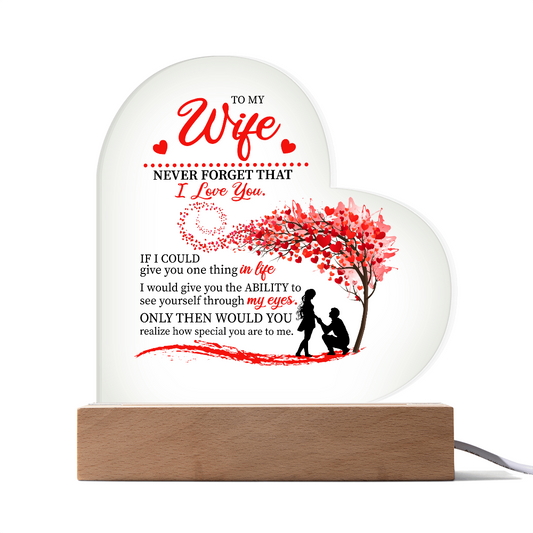 To My Wife: The Love in My Eyes, The Light of My Life